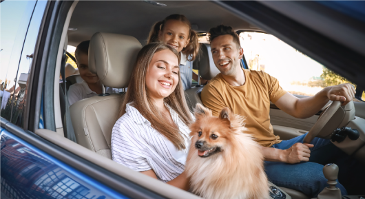 Familia en auto con mascota